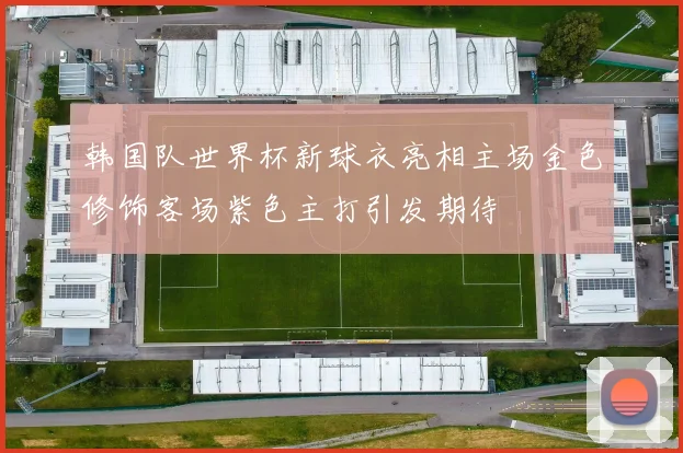 韩国队世界杯新球衣亮相主场金色修饰客场紫色主打引发期待