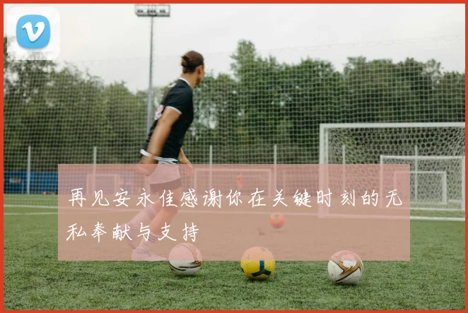 再见安永佳感谢你在关键时刻的无私奉献与支持