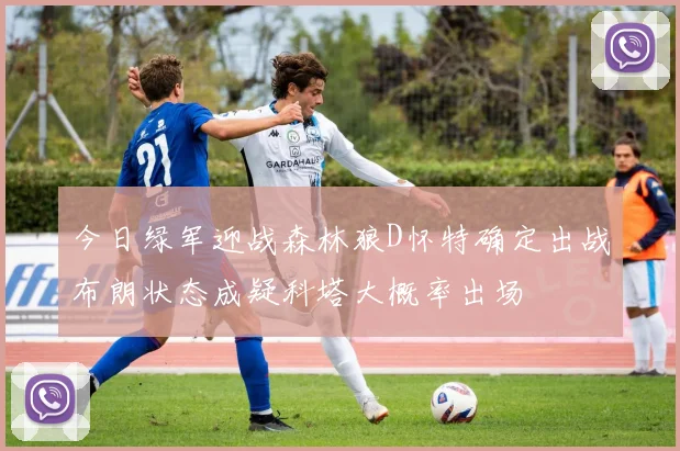 今日绿军迎战森林狼D怀特确定出战布朗状态成疑科塔大概率出场
