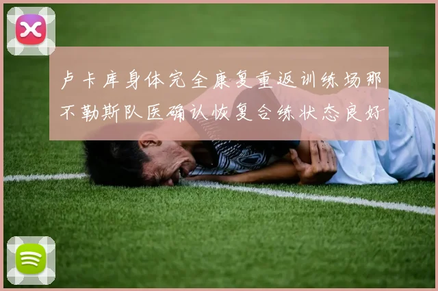 卢卡库身体完全康复重返训练场那不勒斯队医确认恢复合练状态良好
