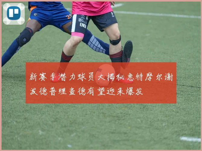 新赛季潜力球员大揭秘惠特摩尔谢泼德普理查德有望迎来爆发