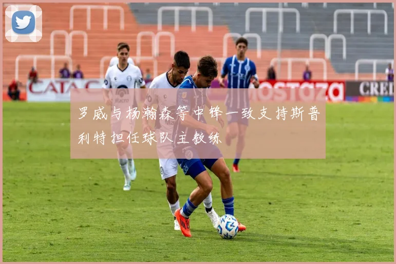 罗威与杨瀚森等中锋一致支持斯普利特担任球队主教练