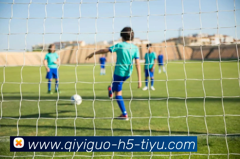 App Interface Preview