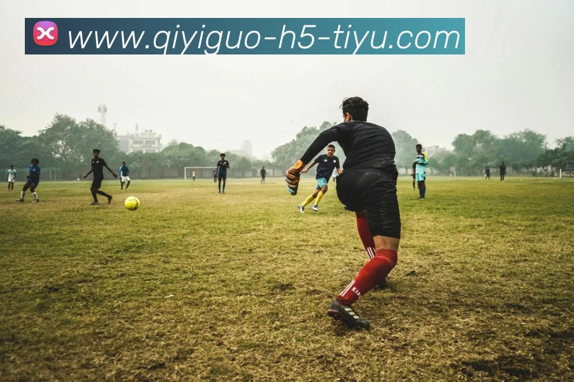 奇异果体育APP 封面图